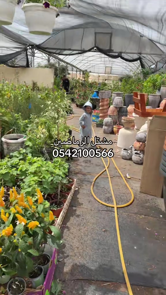 @مشتل الرماضين 0542100566