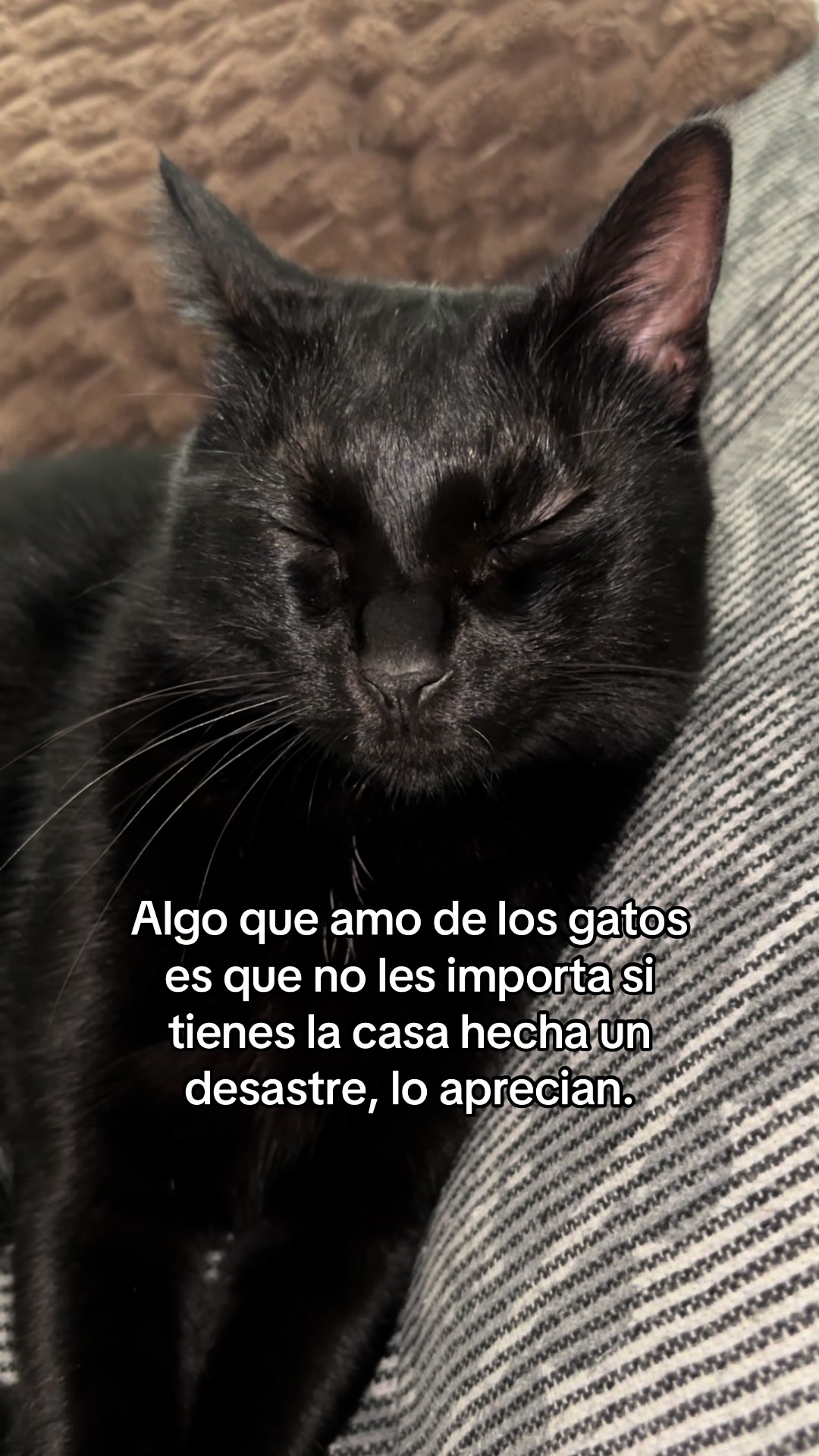 @BlackCatsMatter