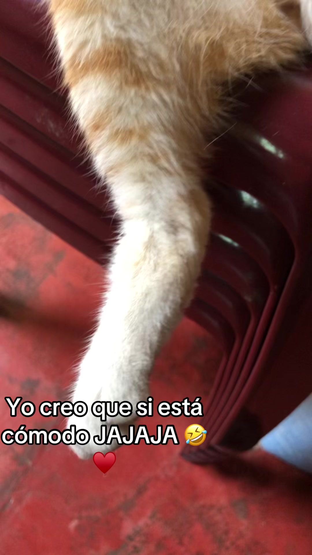 @andreitaoxom3