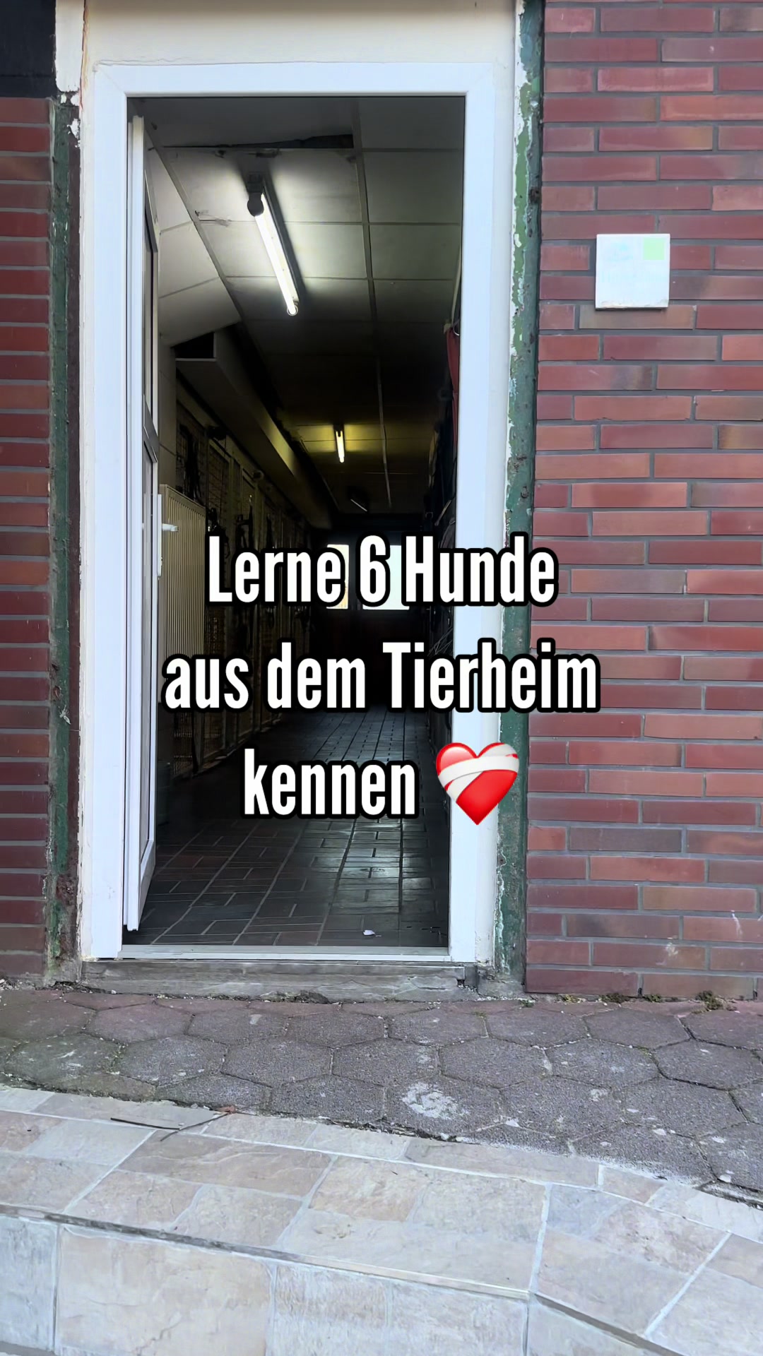 @Tierheim Witten e.V.