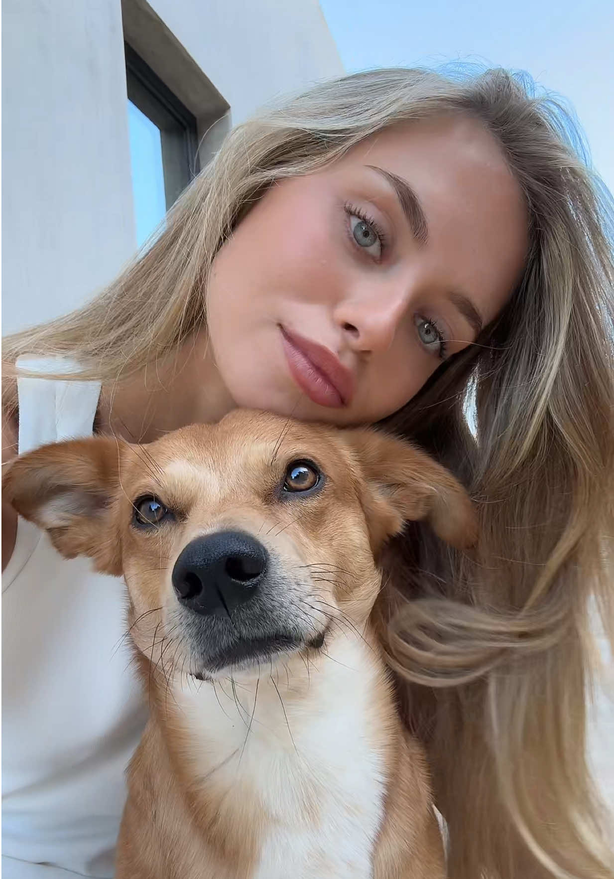 @Laila Hasanovic