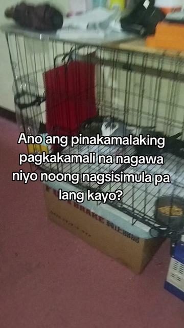 @KALAPATIDS SHOP 🕊️