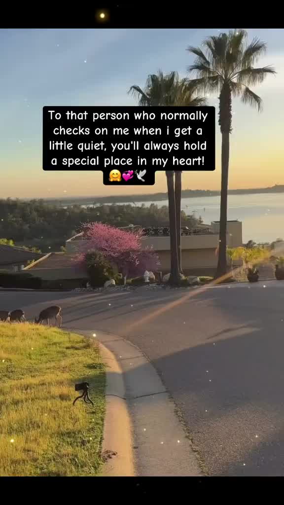 @SH4H1D.KASHMIRI 🥷