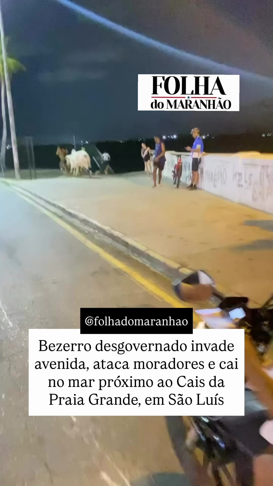 @folhadomaranhao