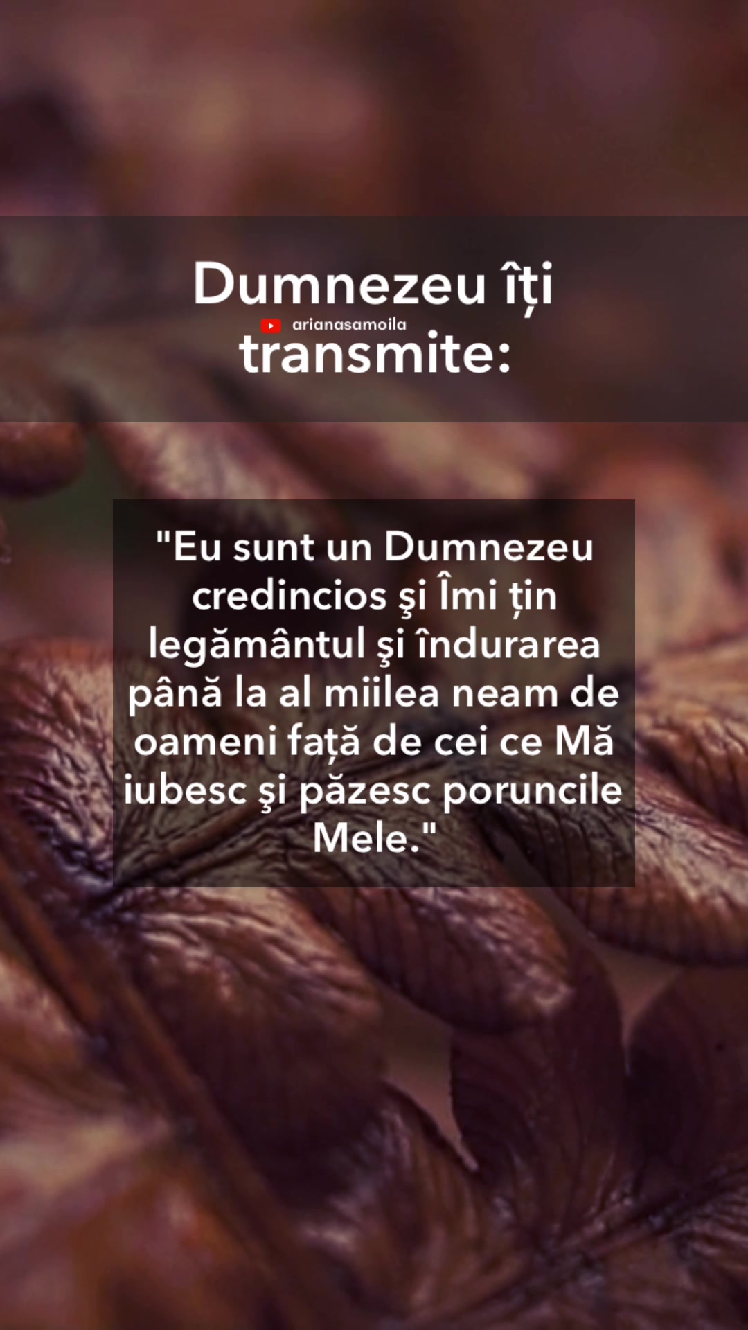 @Ariana Samoilă