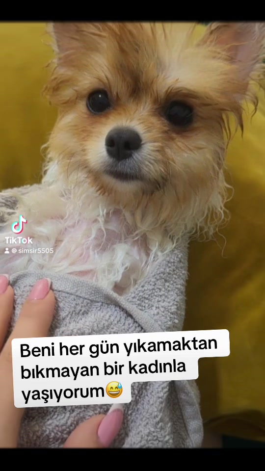 @TÜRKAN ŞİMŞİR