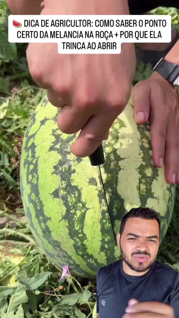 @Obrasilense