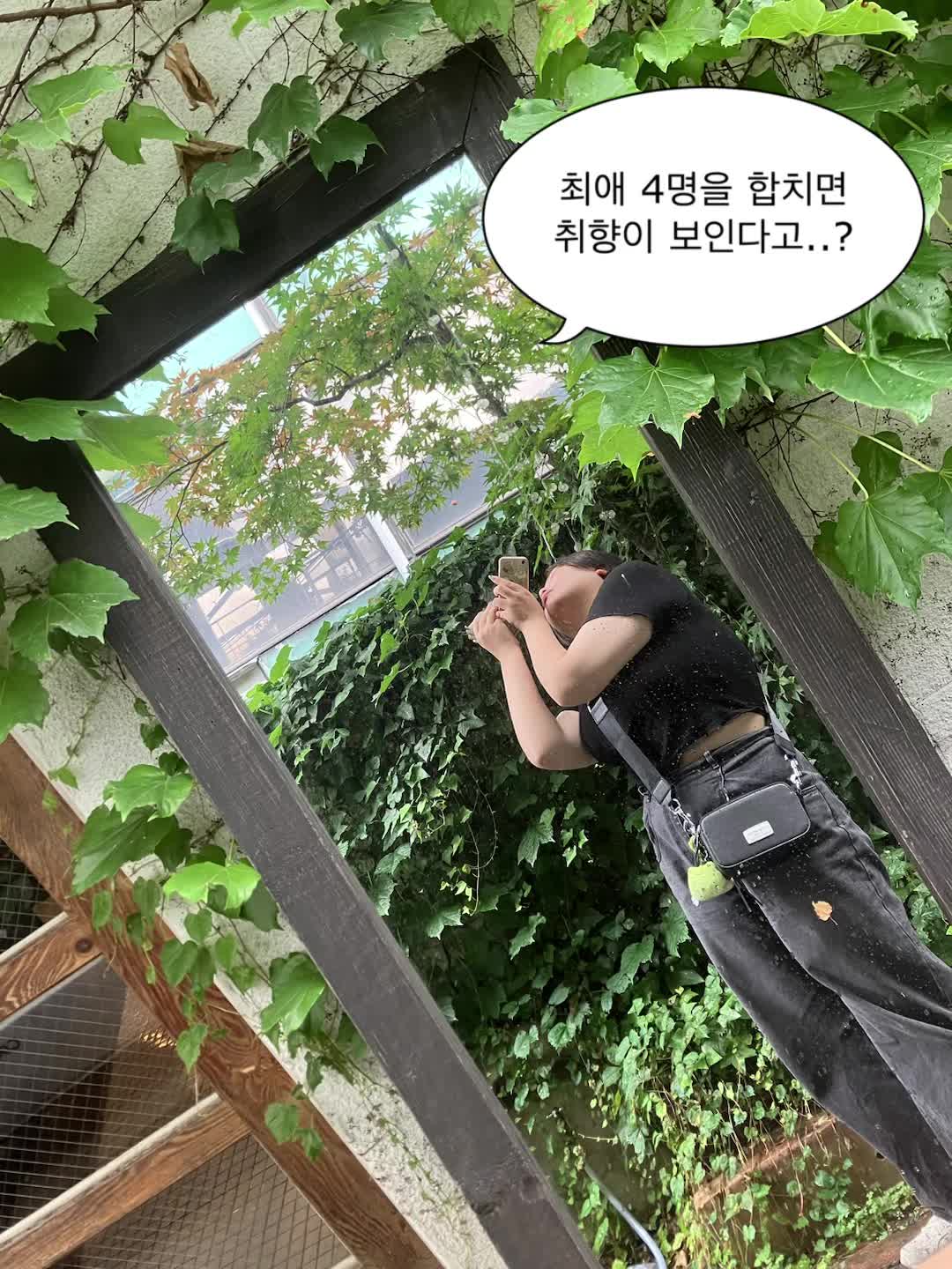 @민덕쥘