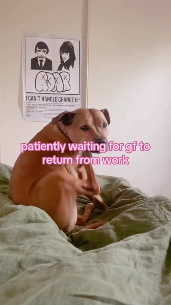 @mimymooo