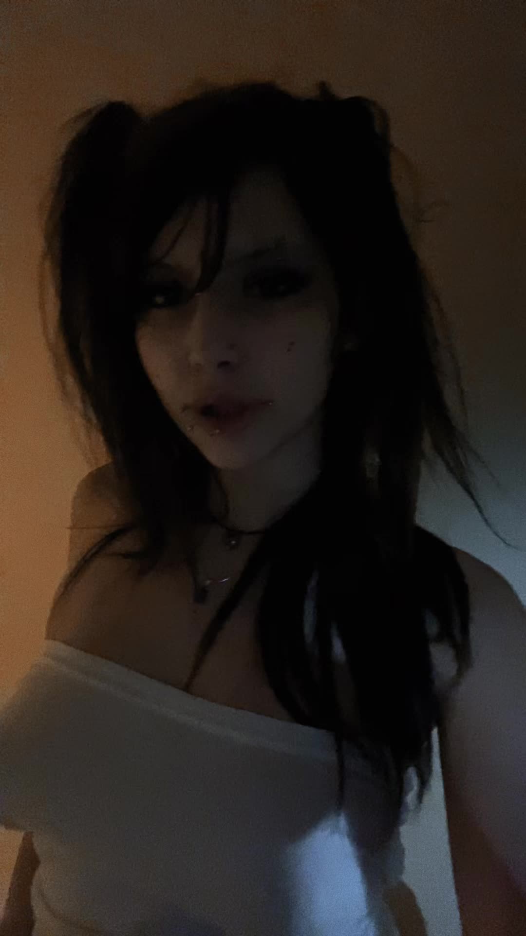 @🐾