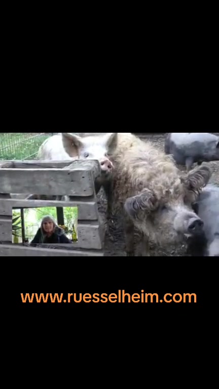 @R&uuml;sselheim e.V.