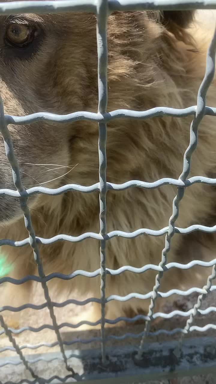@Neli K&aacute;li, 🥰