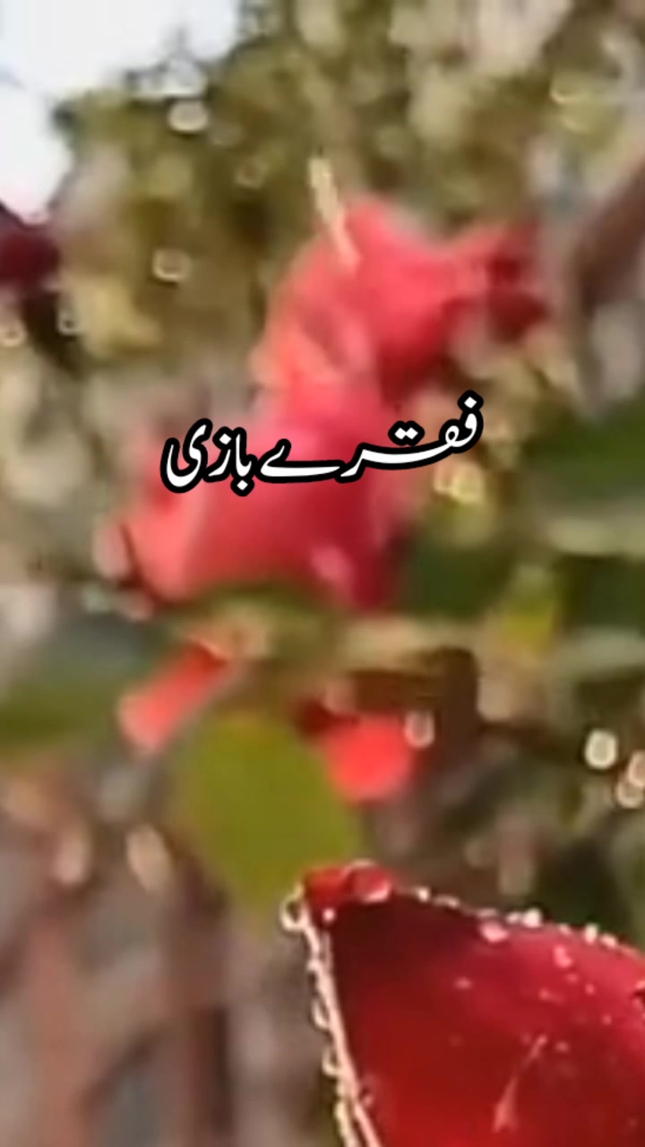 @Kanwal