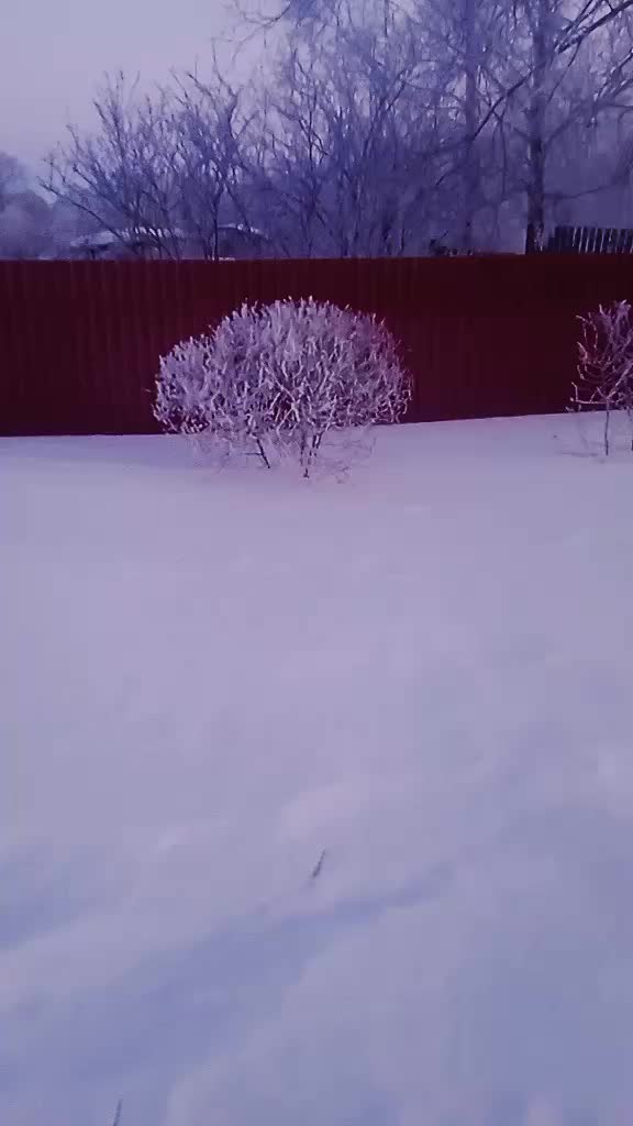@саша
