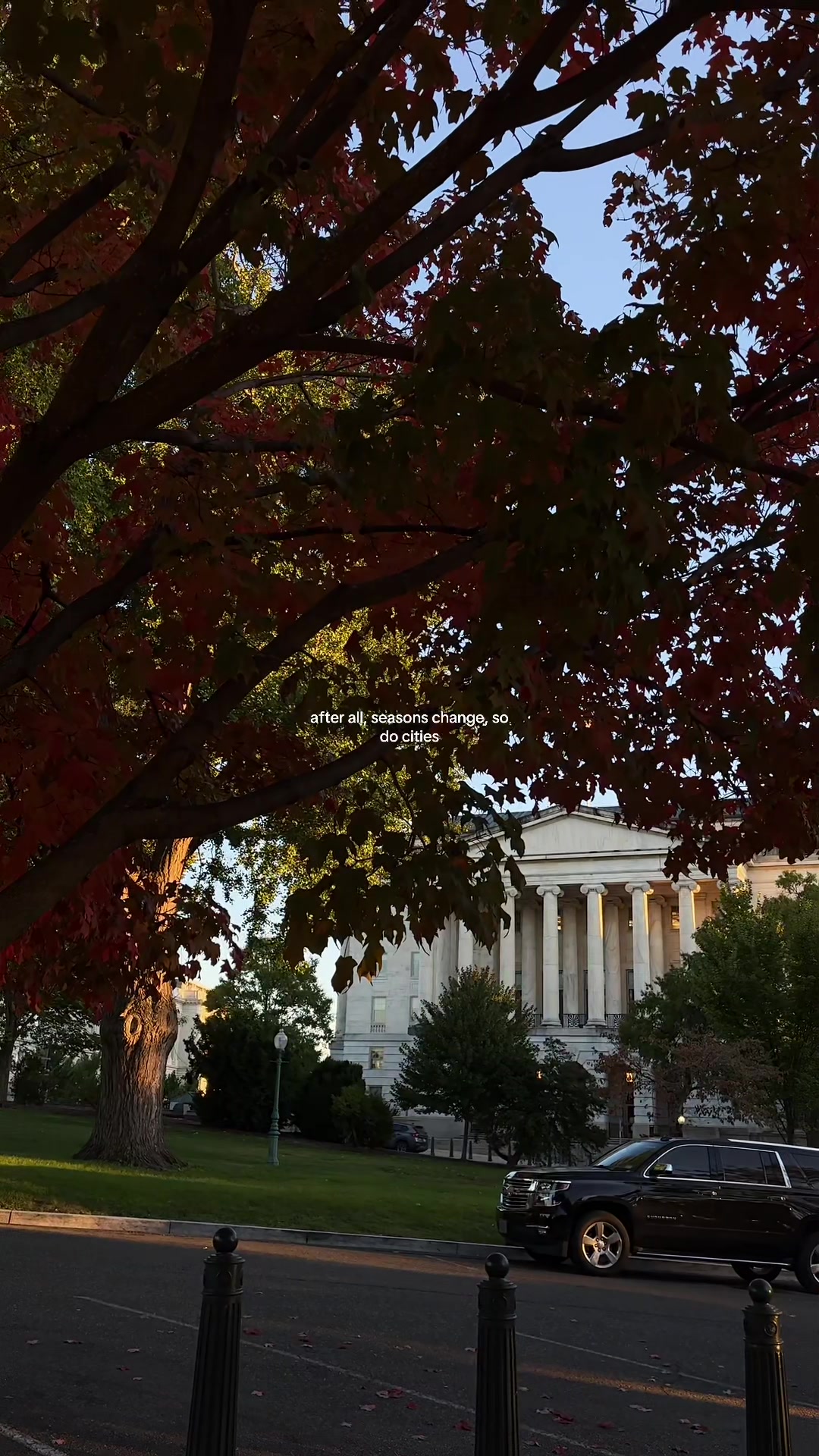 @marwa | dc