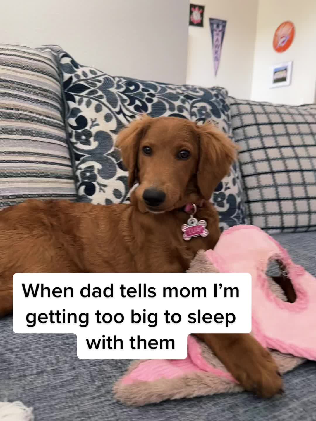 @Jo&lu