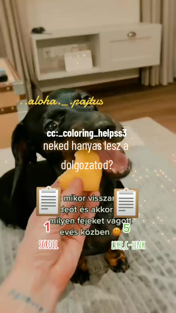 @❤️!abba hagytam!❤️