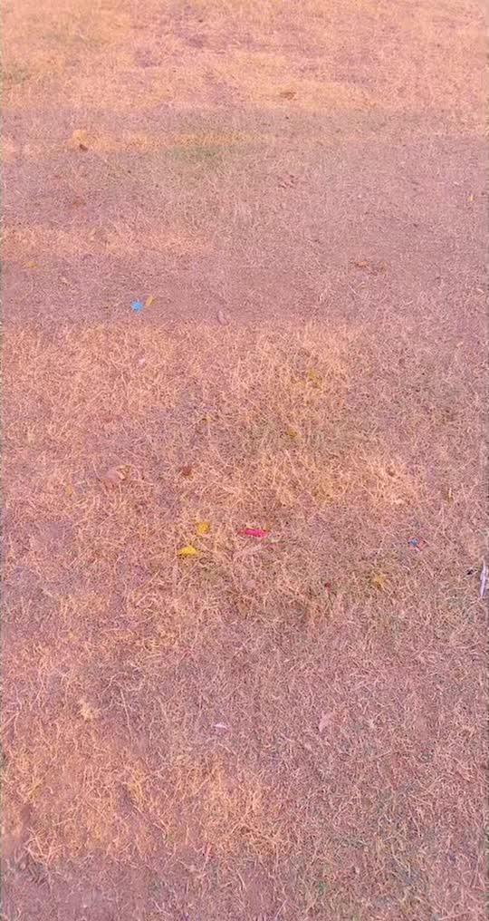 @🔥 اعوانہ دی کڑی🔥❤️