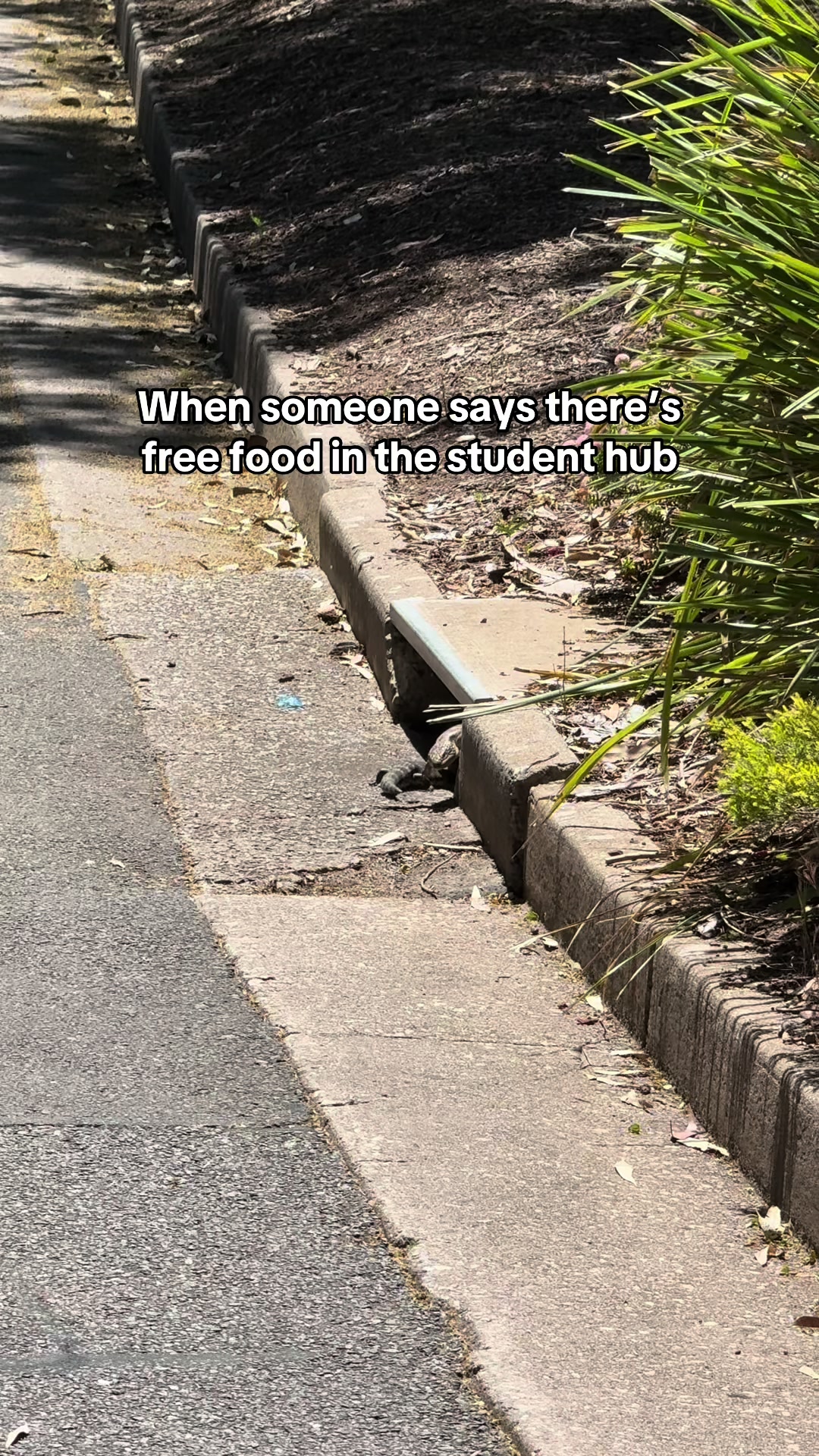 @Flinders University