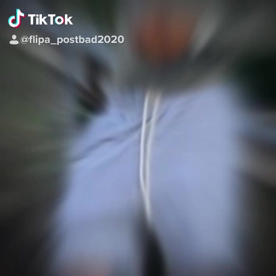@Flipa_postbad2020🖤