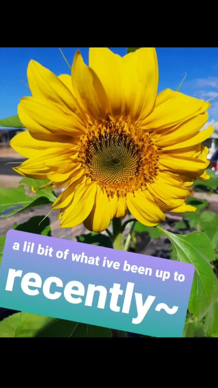 @ArtisticChickenButt