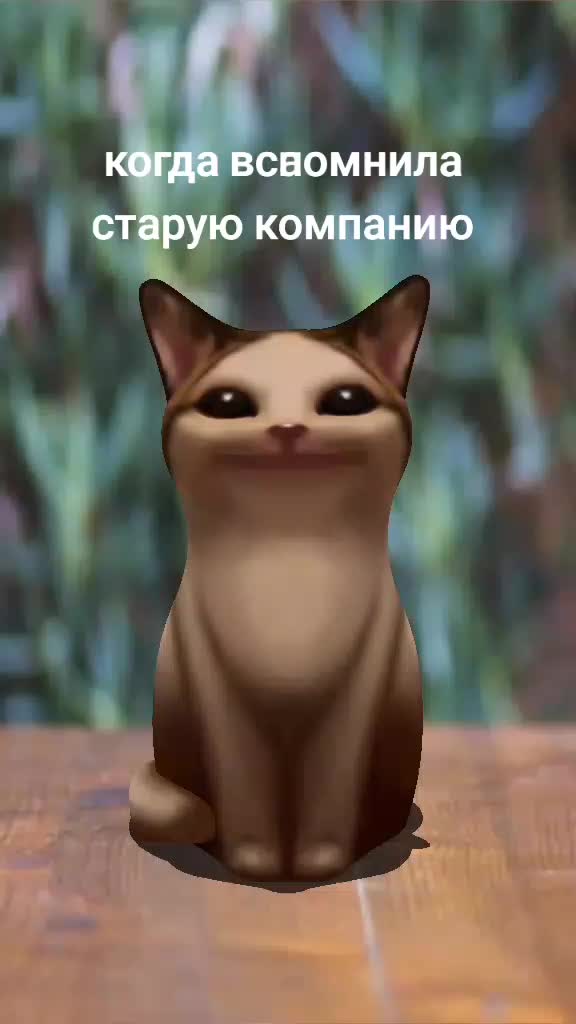 @Я Тэхунсексуалка