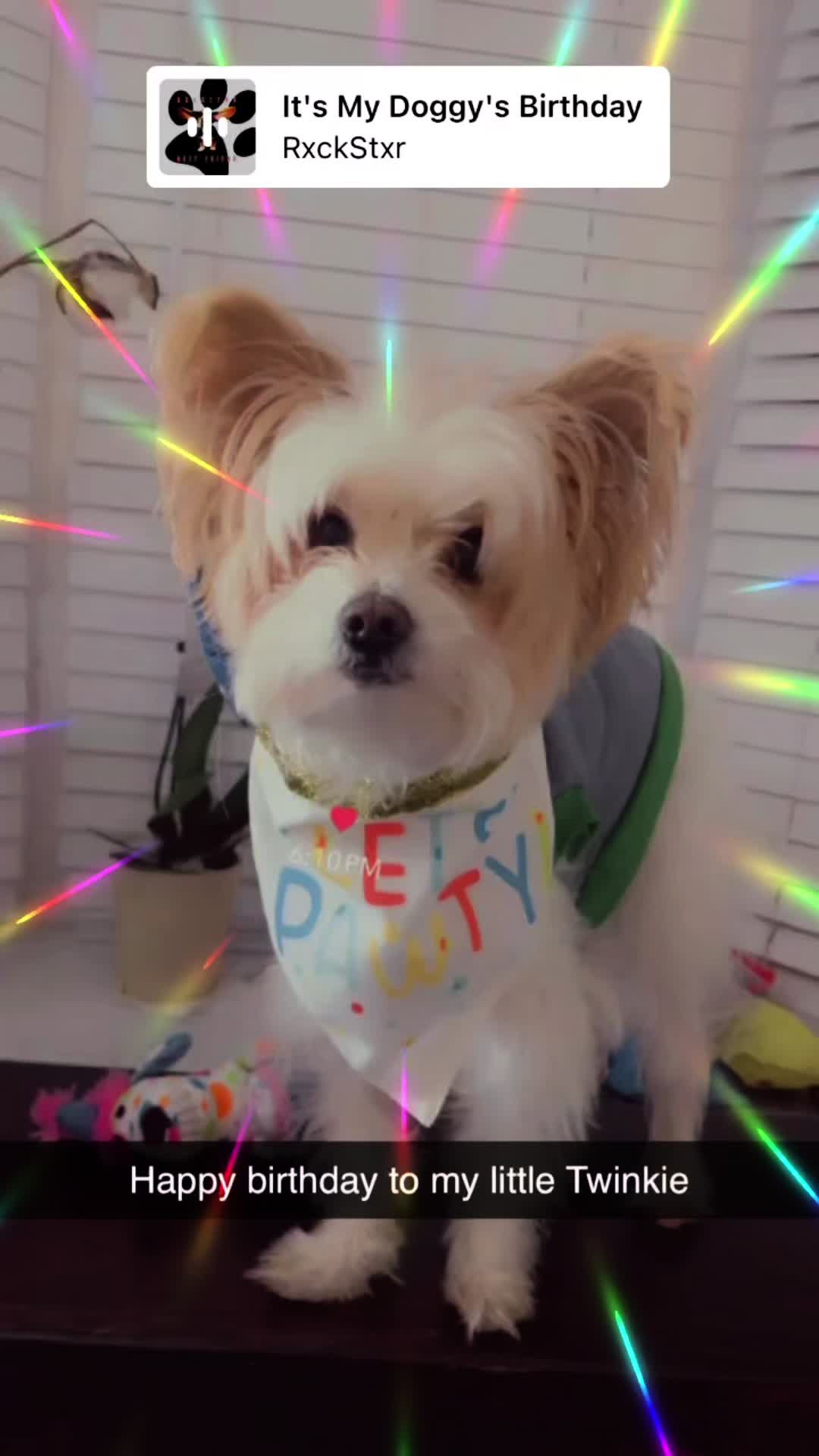 @Twinkies TikTok life
