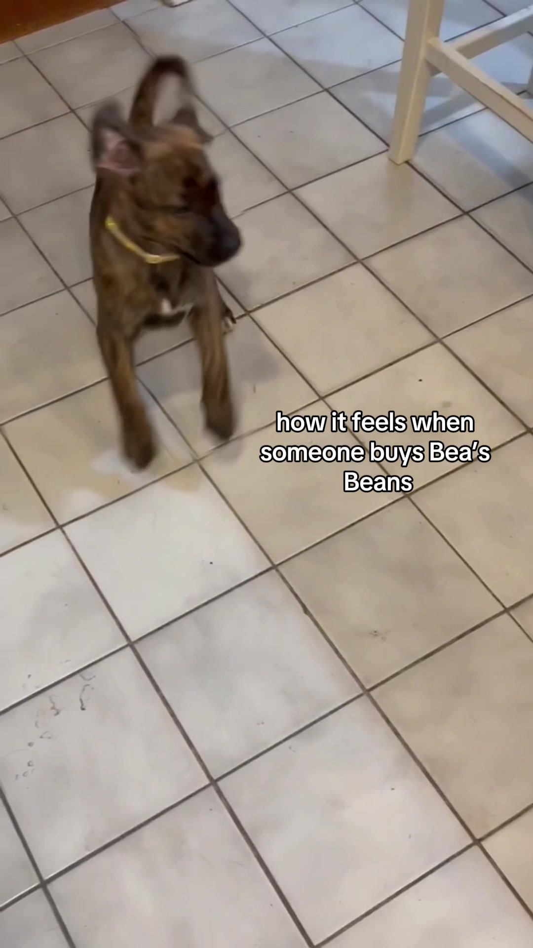 @Bea