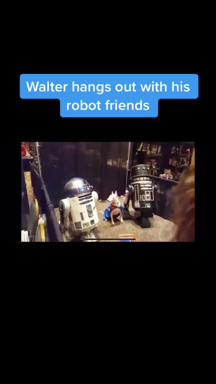 @WalterDog