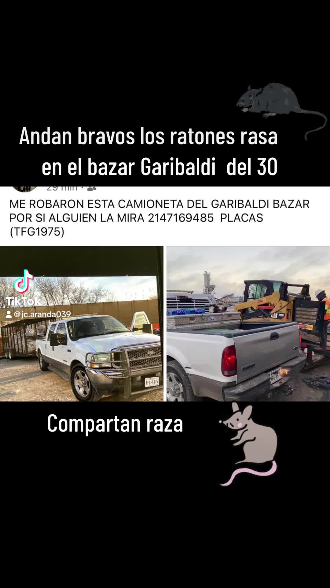 @Elpeluche de Guanajuato