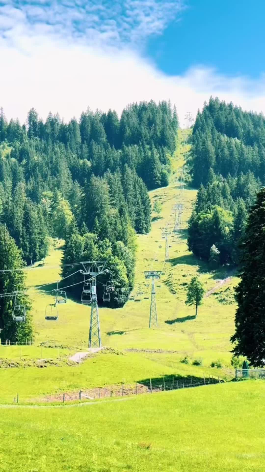 @TatuSwiss🇨🇭❤️🇳🇵