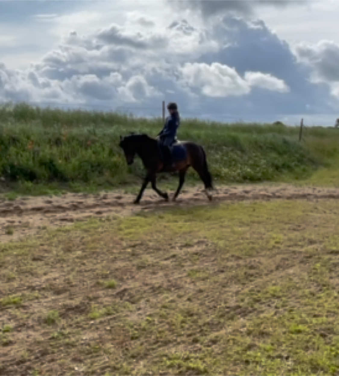 @Cathrine_equestrian🤍