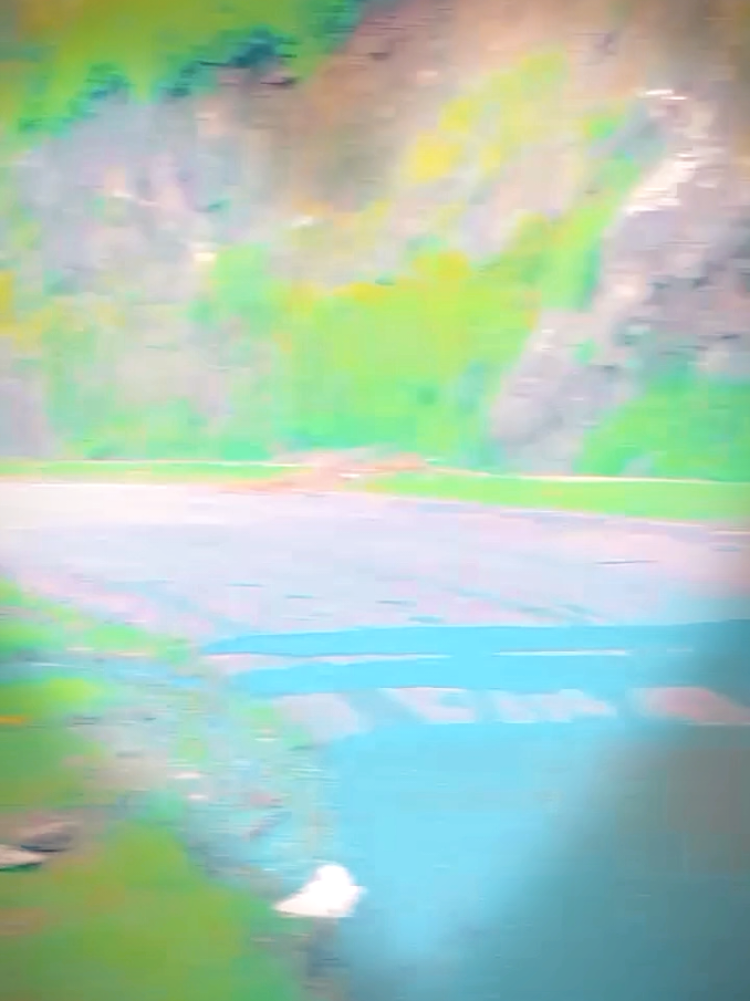 @D 💔S P 804💯