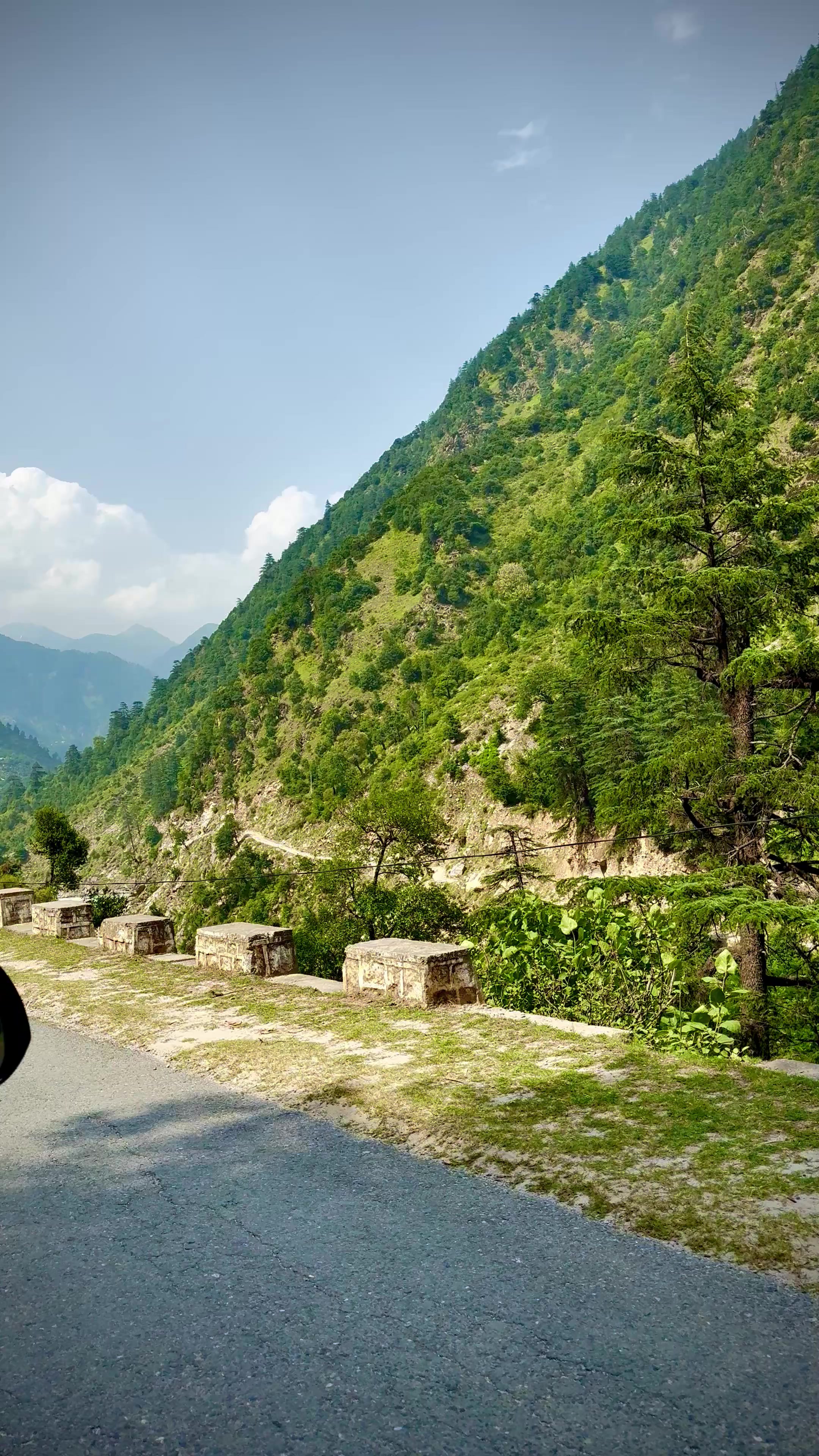 @Nature lover