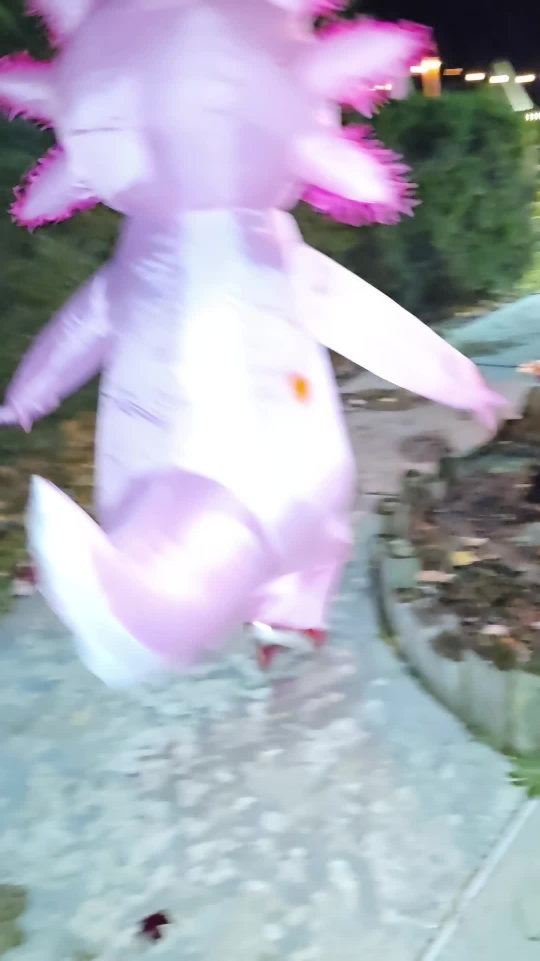 @Mina