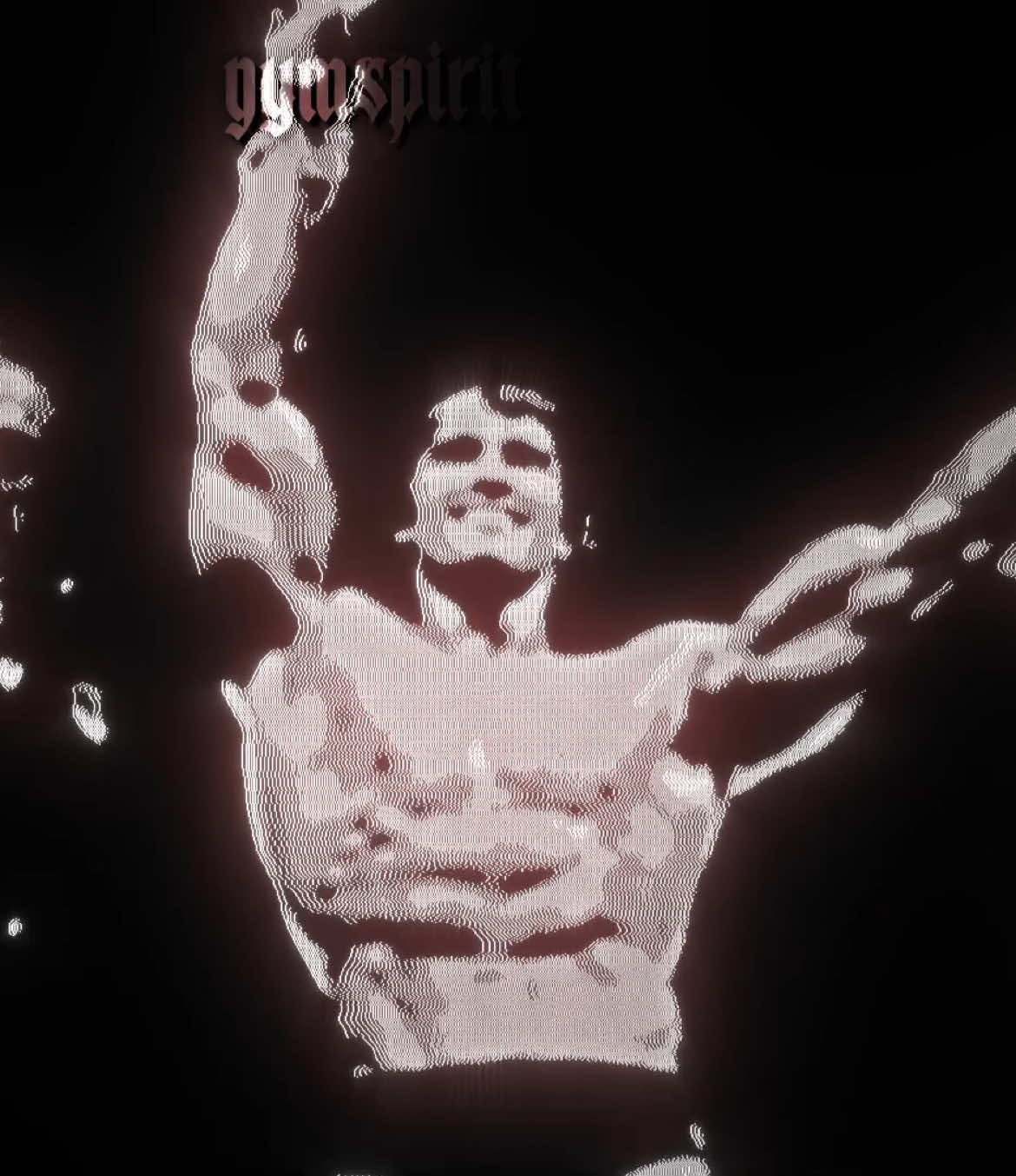@gymspirit.og