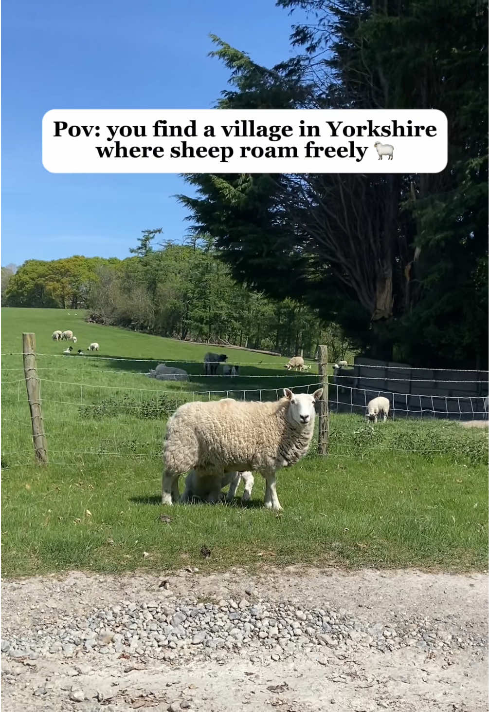 @offthemapyorkshire
