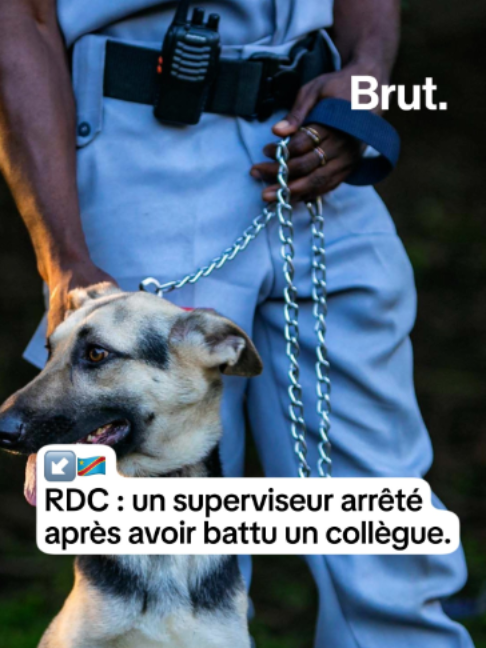 @Brut Afrique