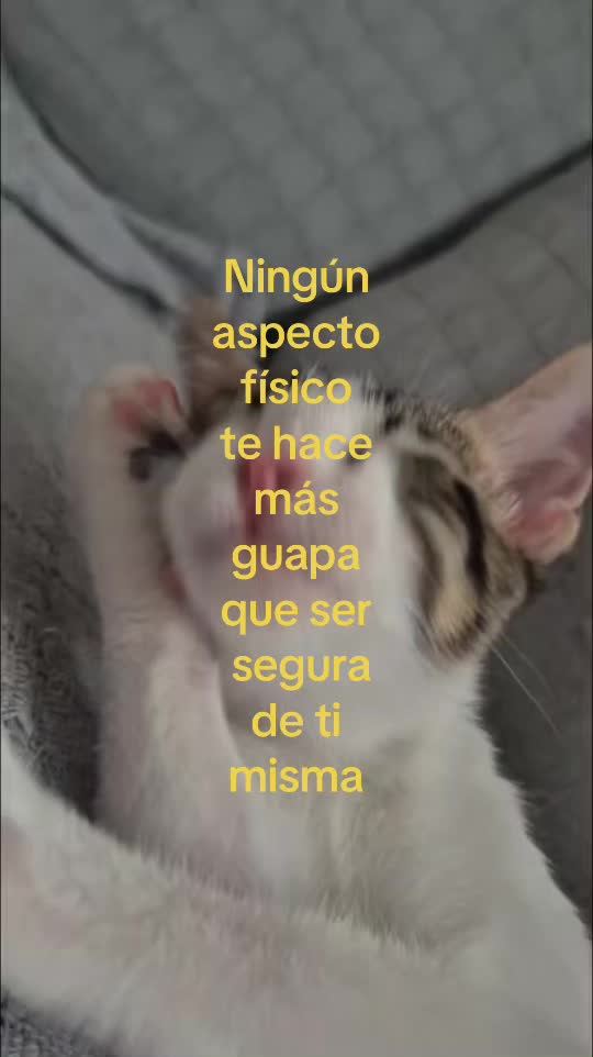 @😹noosabesssqnsoyyy