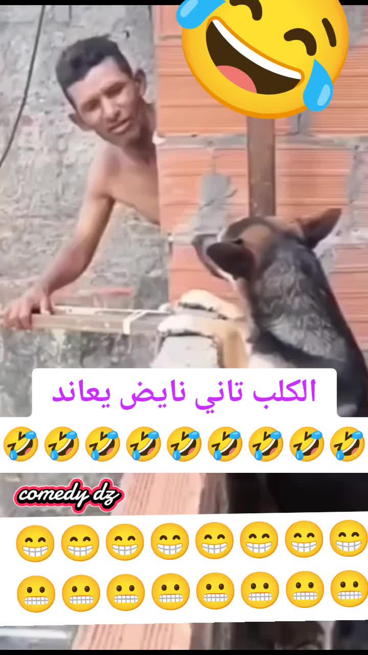 @Comedydz