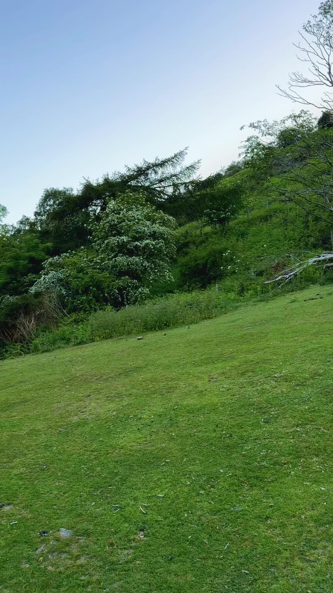 @Aamir khan 22