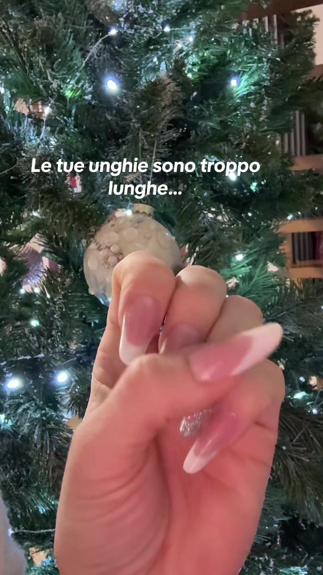 @Alexandra Nedel