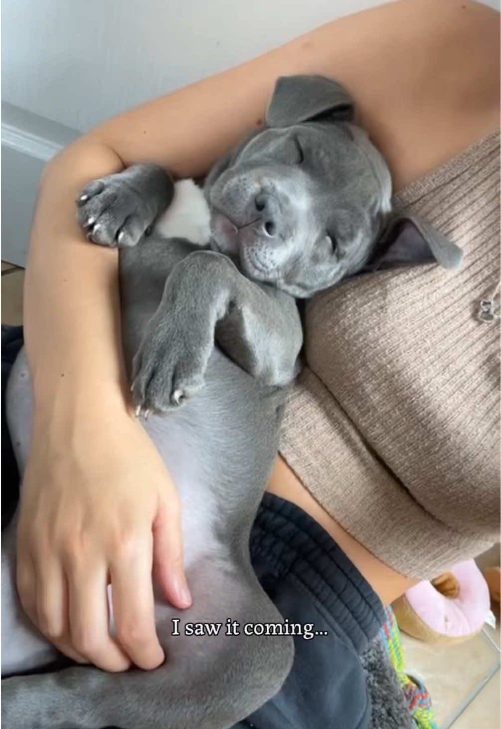 @Myla.thebluestaffy🤍