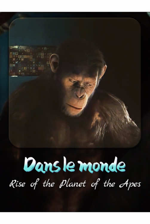 @bizarremovie