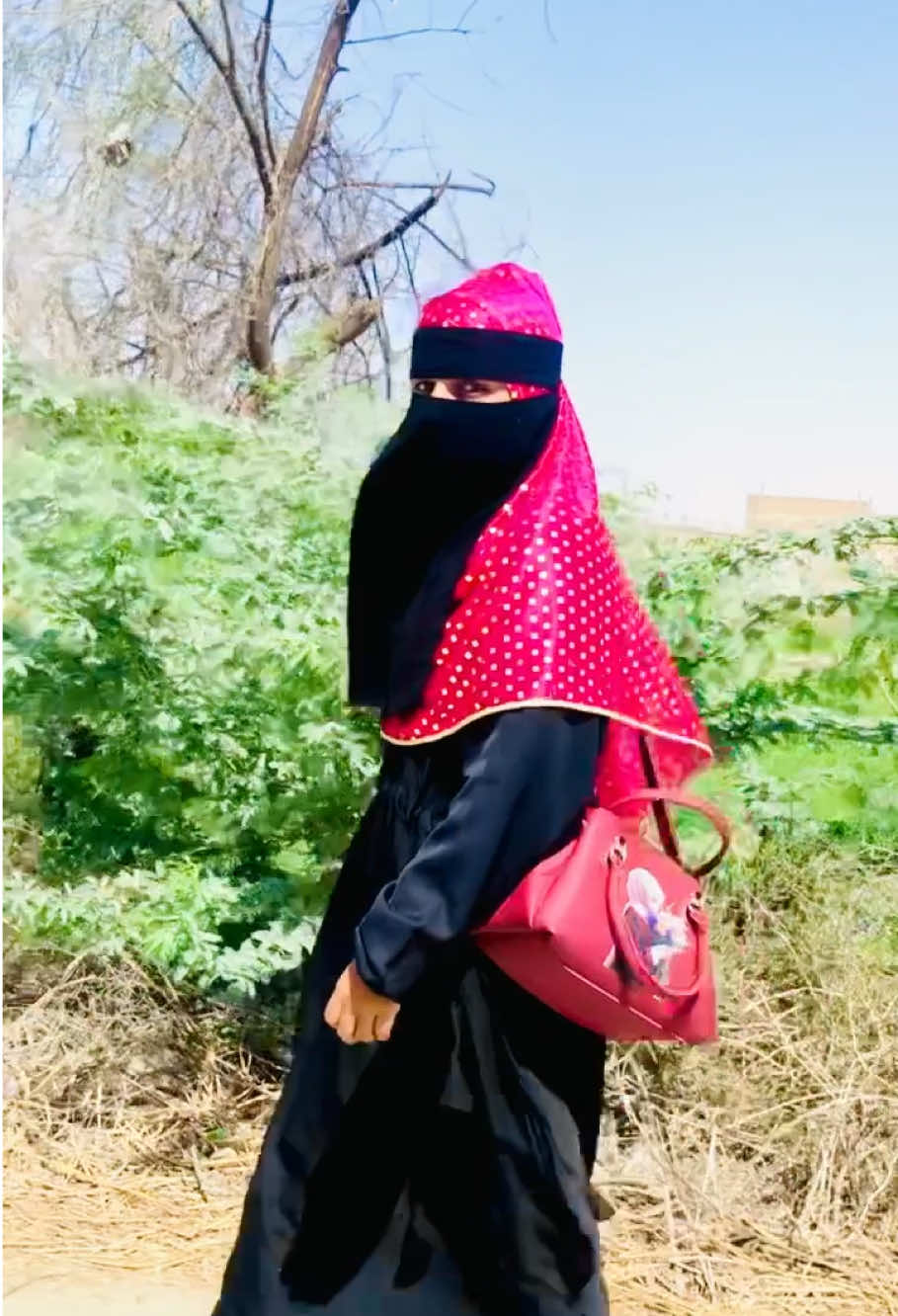 @Bisma javed🇦🇮🇵🇰