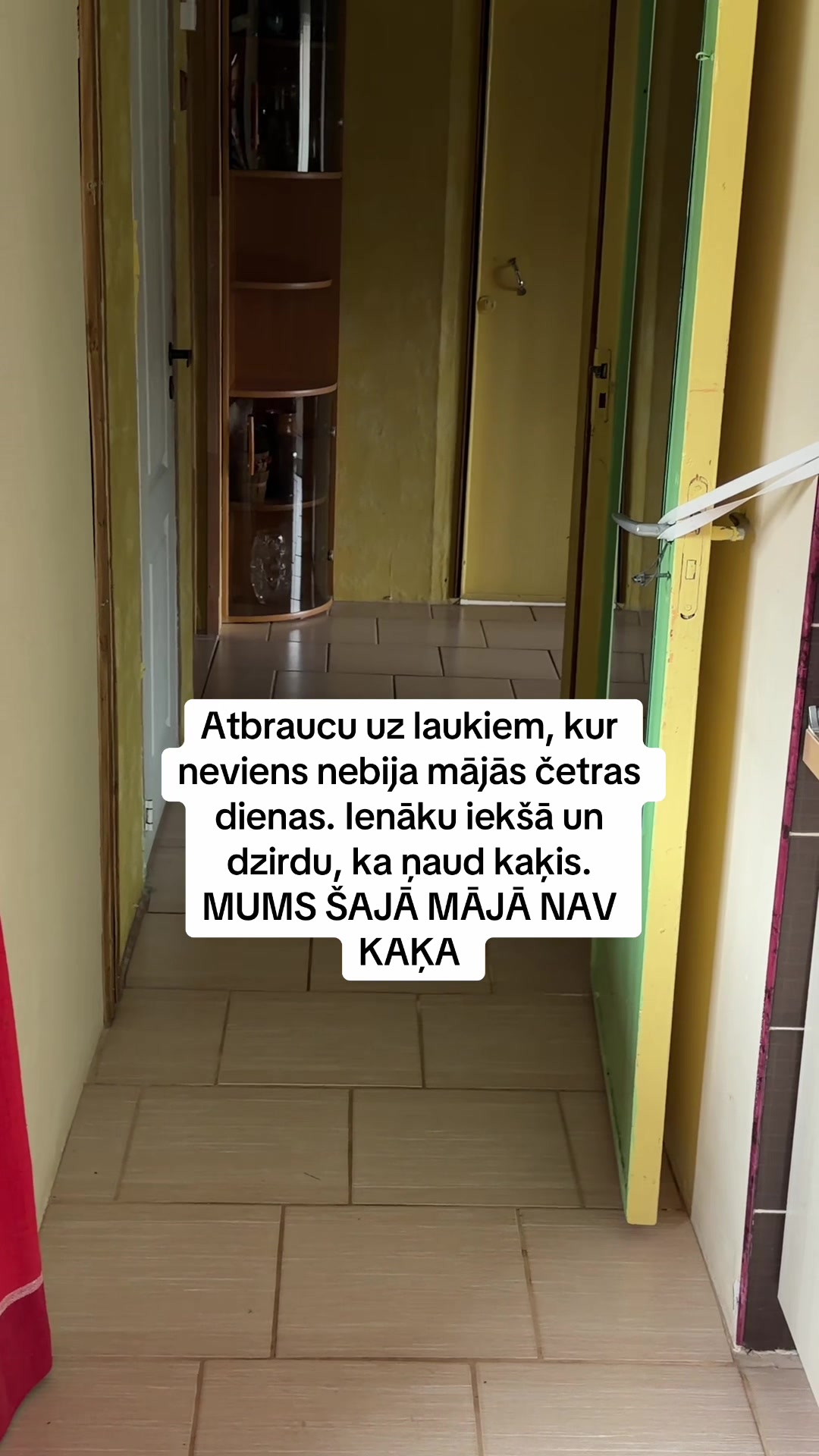@Niima