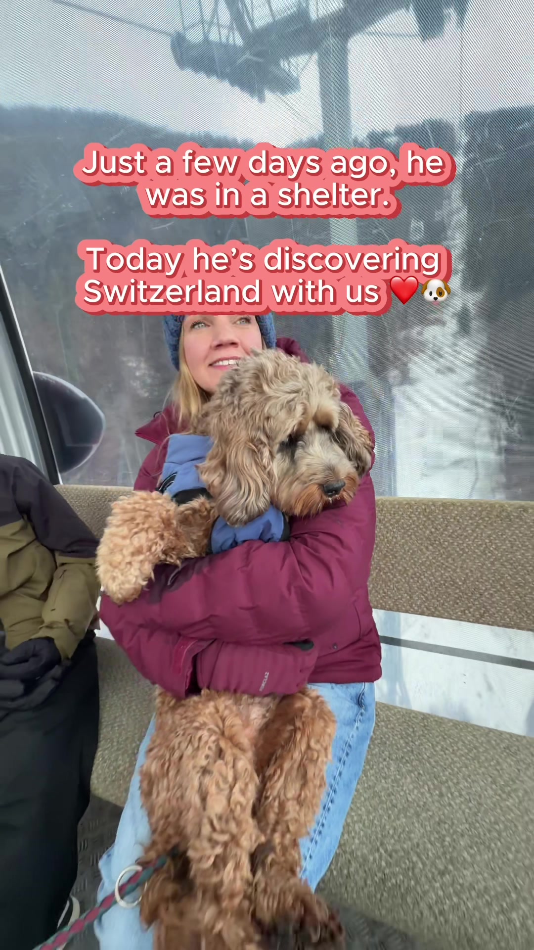 @THE FAMILY OF 5 SWITZERLAND