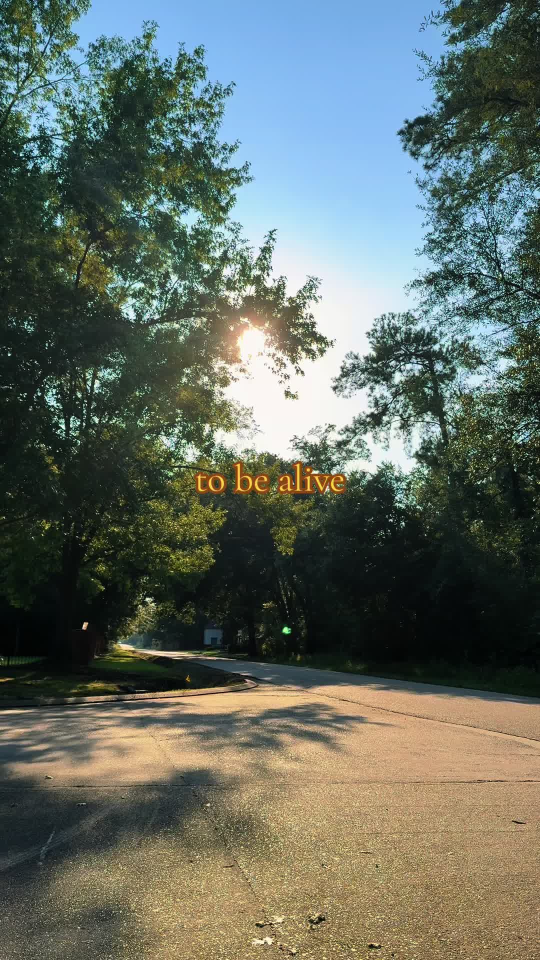 @AELUNE💫