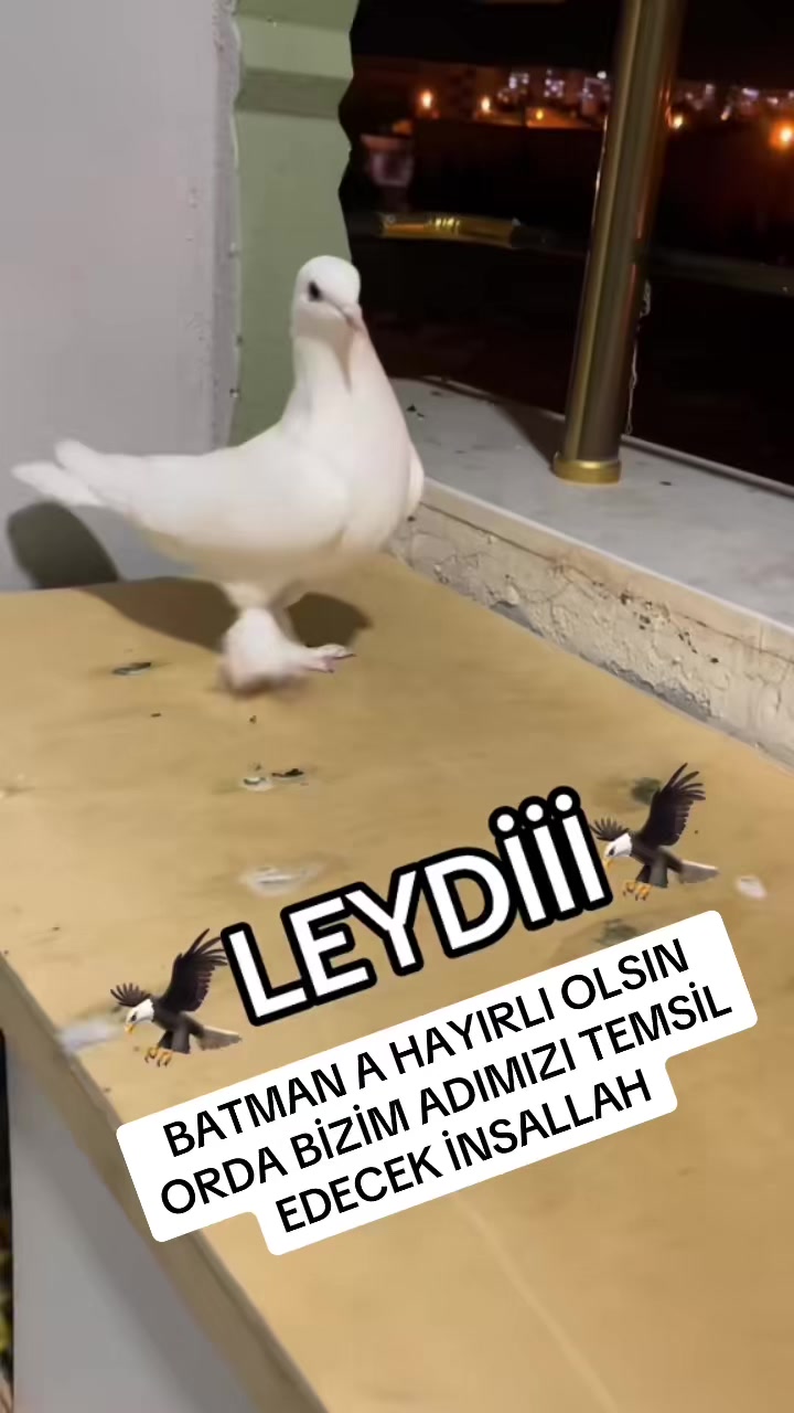 @47 argeş
