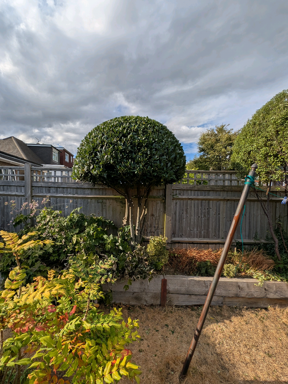 @Gary Hall Garden Services